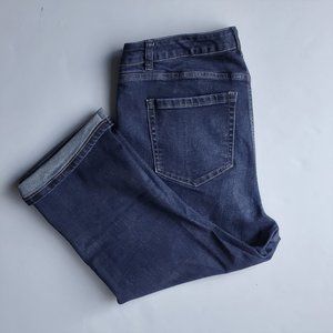 Lane Bryant Capri Jeans Size 14